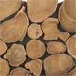 Safavieh Jarrett Teak Stand in Brown