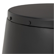 Safavieh Cerium Iron Drum Stool in Black