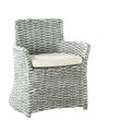 Safavieh Renee Rattan and Cotton Arm Chair in Gray