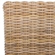 Safavieh Pembrooke Mango   Dining Chair in Natural Unfinished (Set Of 2)