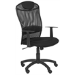Safavieh Shane Desk Office Chair in Black