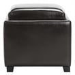 Safavieh Bobbi Tray Bi-cast Leather Storage Ottoman in Brown