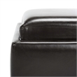 Safavieh Bobbi Tray Bi-cast Leather Storage Ottoman in Brown
