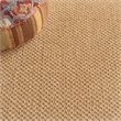 Safavieh Natural Fiber Sisal Medium Rectangle Rug NF525F-5 in Maize