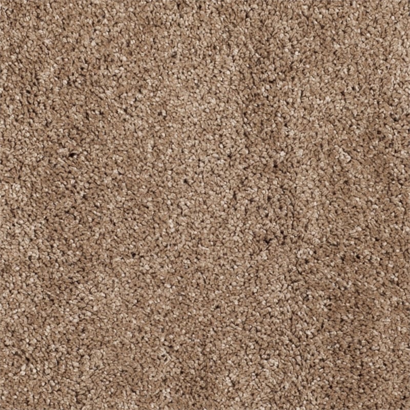 Safavieh Milan Shag Round Rug in Dark Beig