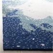 Safavieh Soho Square Rug in Blue / Multi