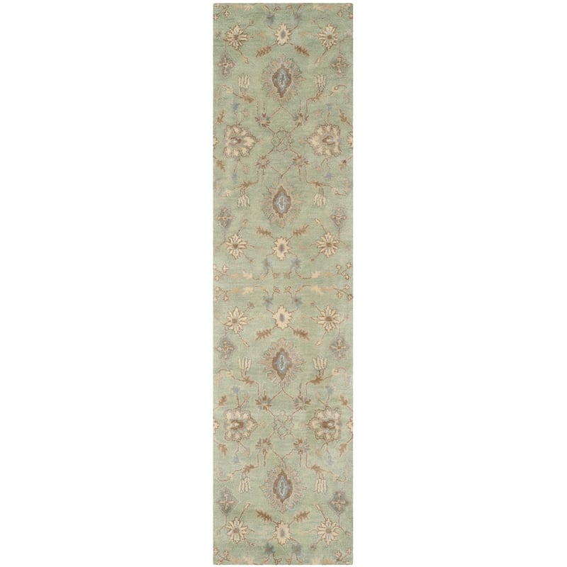 Safavieh Wyndham Round Rug in Light Green