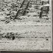 Safavieh Adirondack Silver Area Rug - 11' x 15'