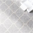 Safavieh Amherst Light Grey Indoor Outdoor Rug - 2'3