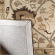 Safavieh Anatolia Ivory Traditional Rug - 2' x 3'