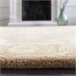 Safavieh Anatolia Teal Traditional Rug - 4' x 6'