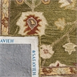 Safavieh Anatolia Moss Traditional Rug - 4' x 6'