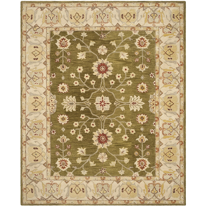 Safavieh Anatolia Moss Traditional Rug - 8' x 10'