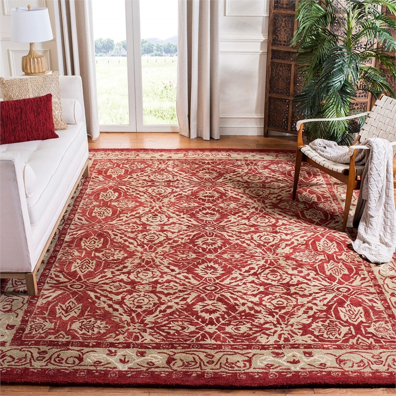 Safavieh Anatolia Red Traditional Rug - 6' x 9'