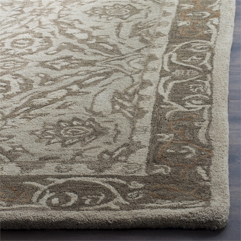 Safavieh Anatolia Ivory Traditional Rug - 4' x 6'