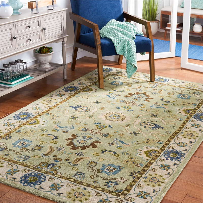 Safavieh Anatolia Grey Traditional Rug - 4' x 6'