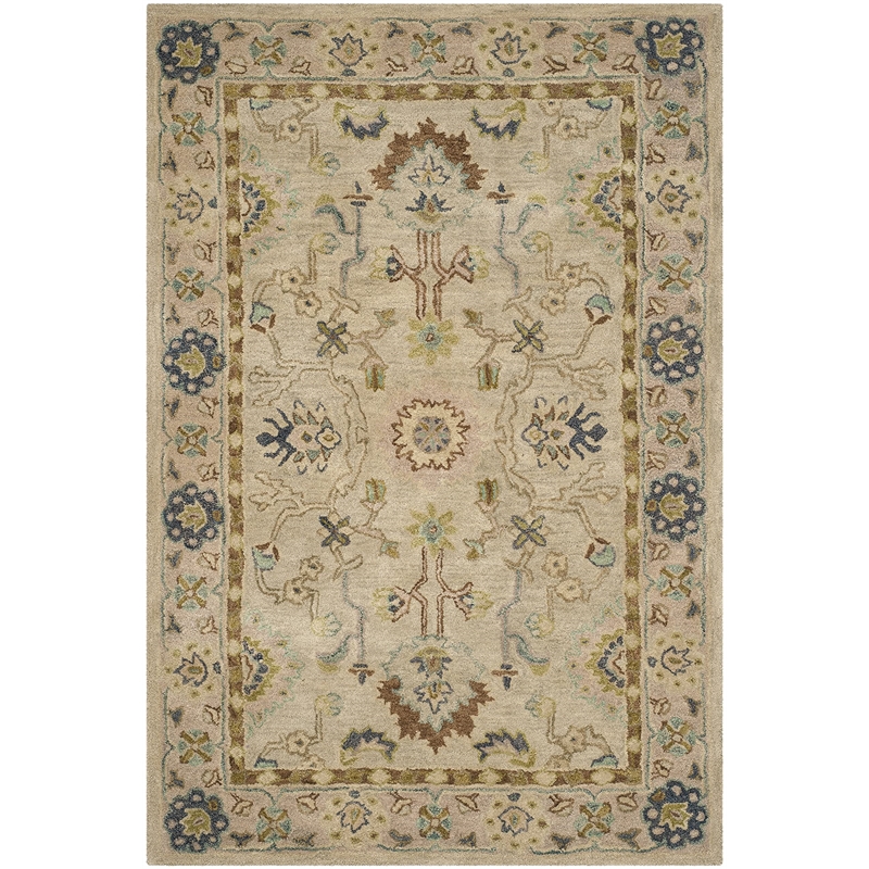 Safavieh Anatolia Grey Traditional Rug - 4' x 6'