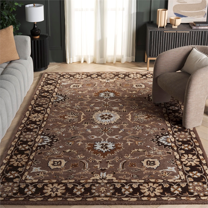 Safavieh Anatolia Grey Traditional Rug - 6' x 9'