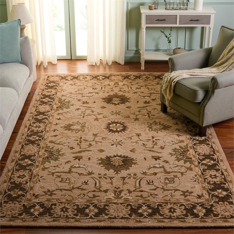 Safavieh Anatolia Light Grey Traditional Rug - 6' x 9'