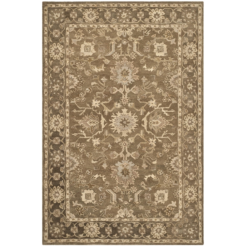 Safavieh Anatolia Light Grey Traditional Rug - 8' x 10'