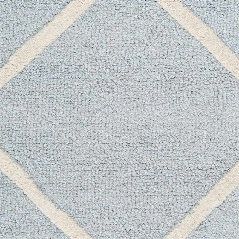 Safavieh Cambridge Light Blue Transitional Rug - 2' x 3'