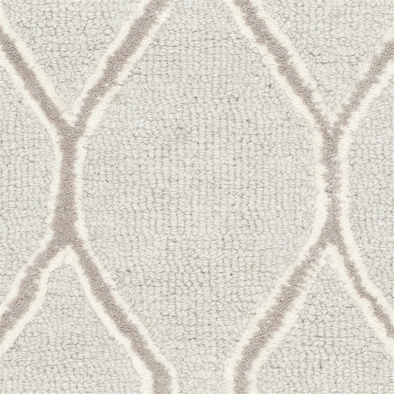 Safavieh Cambridge Light Grey Transitional Rug - 2' x 3'