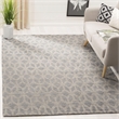 Safavieh Cape Cod Grey Contemporary Rug - 8' x 10'