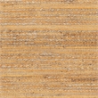 Safavieh Cape Cod Orange Contemporary Rug - 8' x 10'