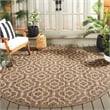 Safavieh Courtyard Brown Indoor Outdoor Rug - Round 7'10