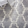 Safavieh Dip Dyed Grey Contemporary Rug - 2' x 3'