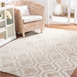 Safavieh Dip Dyed Beige Contemporary Rug - 3' x 5'