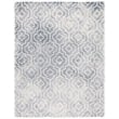 Safavieh Dip Dyed Grey Contemporary Rug - 8' x 10'