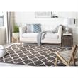 Safavieh Dhurries Brown Contemporary Rug - 4' x 6'