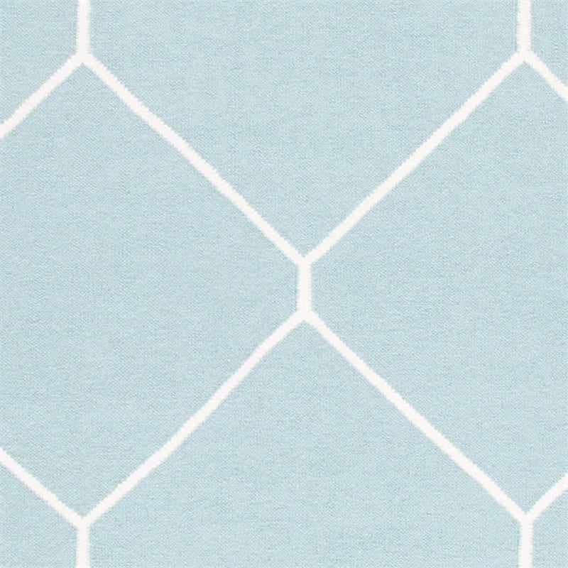 Safavieh Dhurries Light Blue Contemporary Rug - 8' x 10'