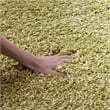 Safavieh Shag Green Shag Rug - 3' x 5'