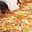 Safavieh Shag Gold Shag Rug - 8' x 10'