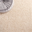 Safavieh Charlotte Shag Ivory Shag Rug - 8' x 10'
