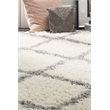 Safavieh Dallas Shag Ivory Shag Rug - 4' x 6'