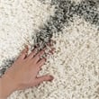 Safavieh Dallas Shag Ivory Shag Rug - 8' x 10'