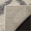 Safavieh Dallas Shag Ivory Shag Rug - 3' x 5'