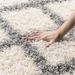 Safavieh Dallas Shag Ivory Shag Rug - 4' x 6'