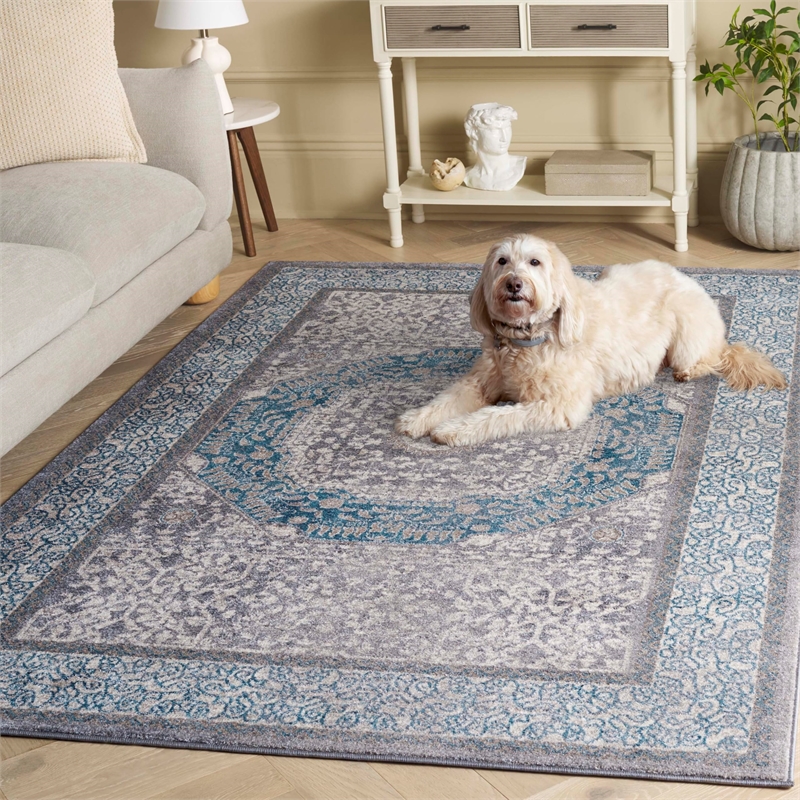 Safavieh Sofia Light Grey Traditional Rug - 5'1