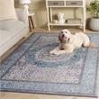 Safavieh Sofia Light Grey Traditional Rug - 5'1