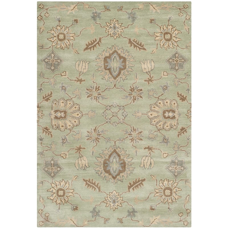 Safavieh Wyndham Light Green Contemporary Rug - 5' x 8'
