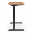 Serta Creativity Electric Height Adjustable Standing Desk Light Brown