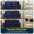 Serta Palisades 61