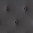 Flash Furniture Roxbury Tufted King Platform Bed in Dark Gray