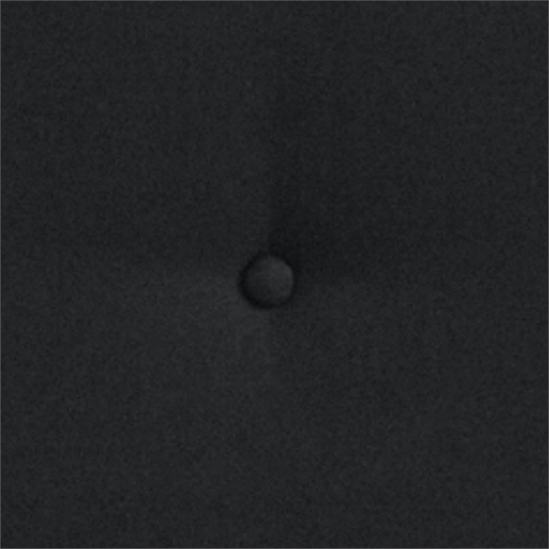 Flash Furniture Tribeca Tufted Queen Platform Bed in Black