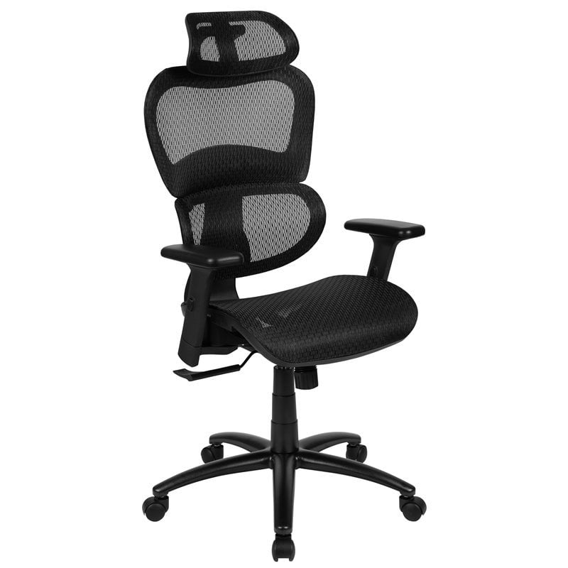 Flash Furniture Ergonomic Mesh Office Desk Chair in Black