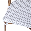 Flash Furniture Lourdes Paris Rattan Chairs in White/Gray (Set of 2)